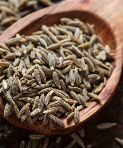 Euro Spices Cumin Seeds 60g