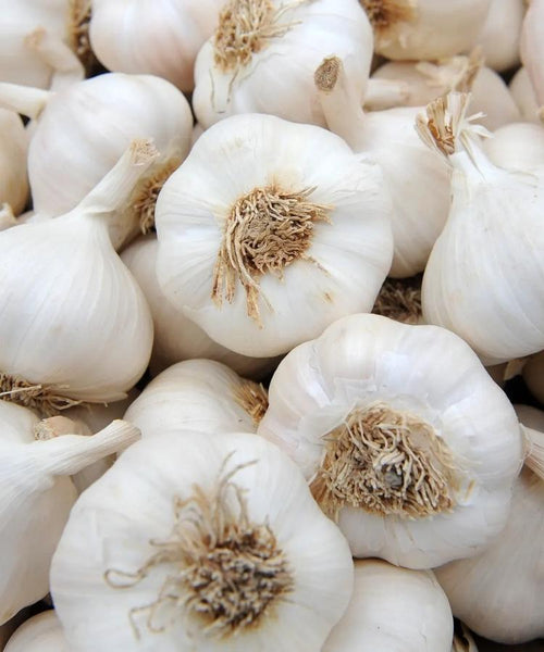 Garlic 500g