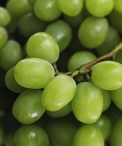 Green Grapes Per Kg