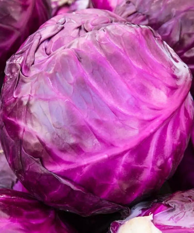 Red Round Cabbage Per Kg
