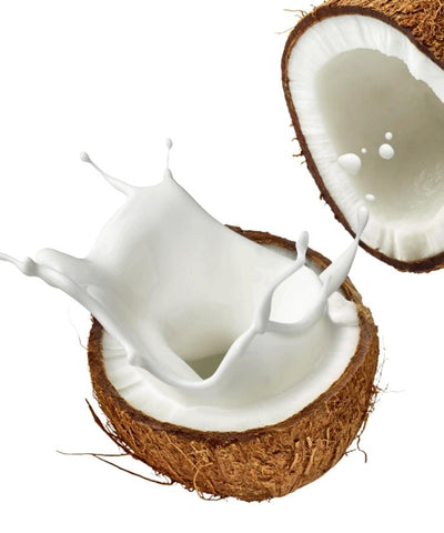 Venui Pure Coconut Milk
